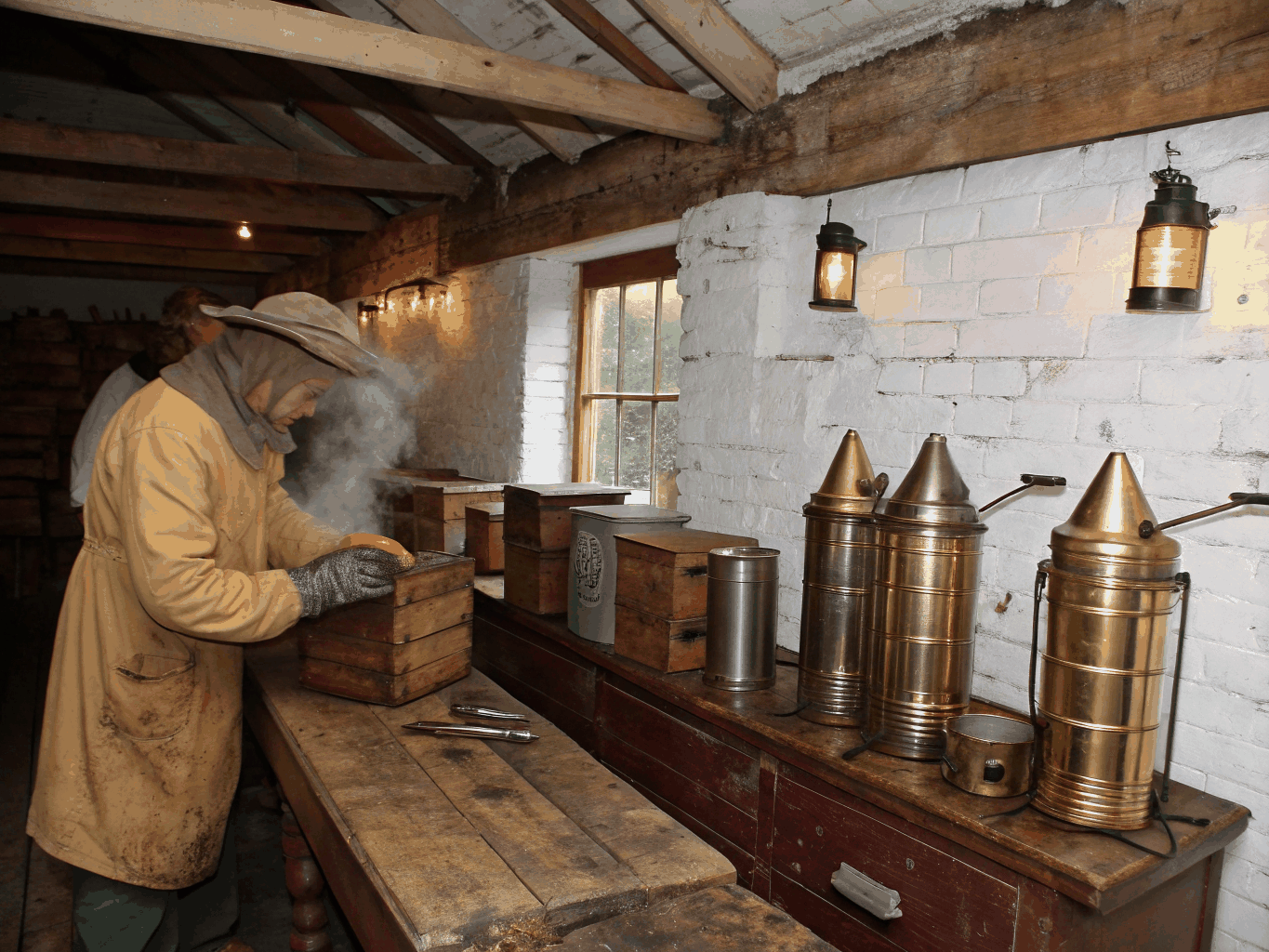 A feral honey bee colony discovered within a historic building structure
